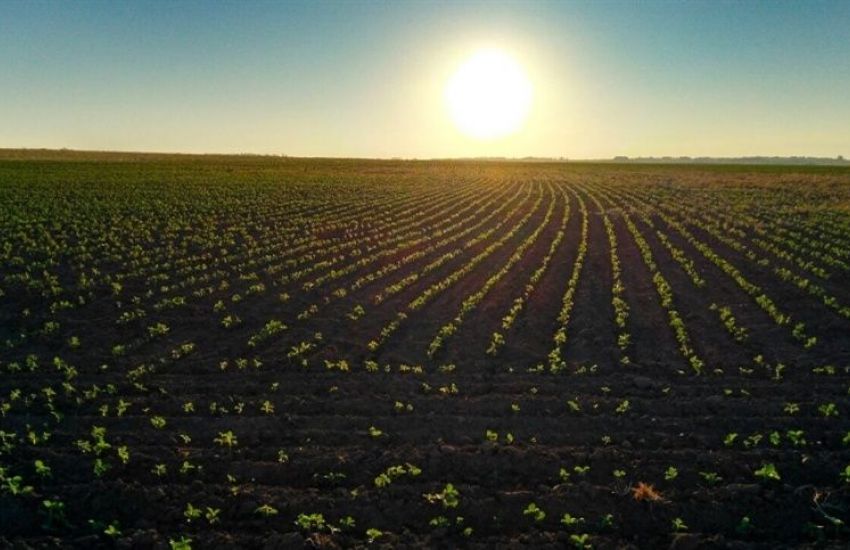 Programa Soja Plus é referência mundial em gestão de propriedade rural