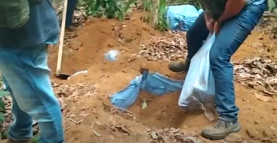 Mais de 1 tonelada de cocaína é apreendida no Vale do Guaporé