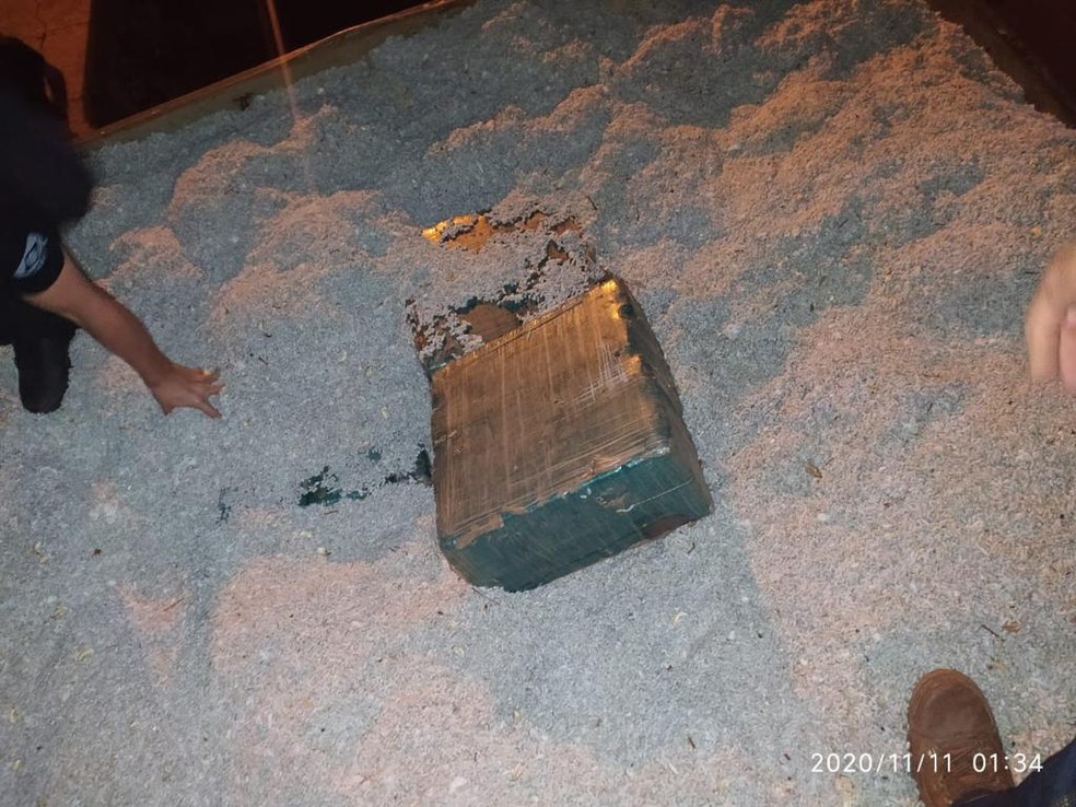 Polícia apreende mais de meia tonelada de cocaína avaliada em R$ 10,2 milhões