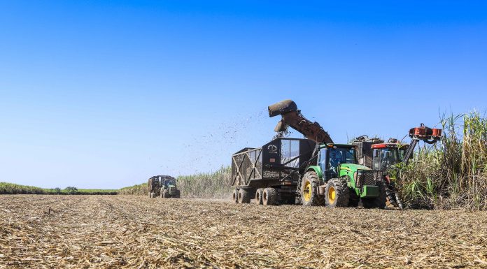 Etanol de milho representou 6,7% da produção do biocombustível desde o início da safra