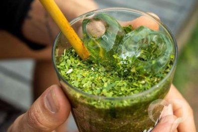 SEM AGLOMERAÇÃO: Cidade em MT proíbe até tereré