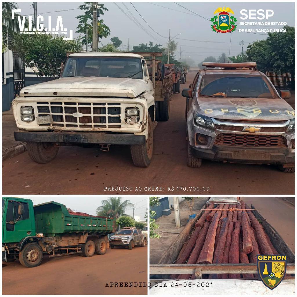 Gefron apreende madeira ilegal transportada por menor de idade em Vila Bela