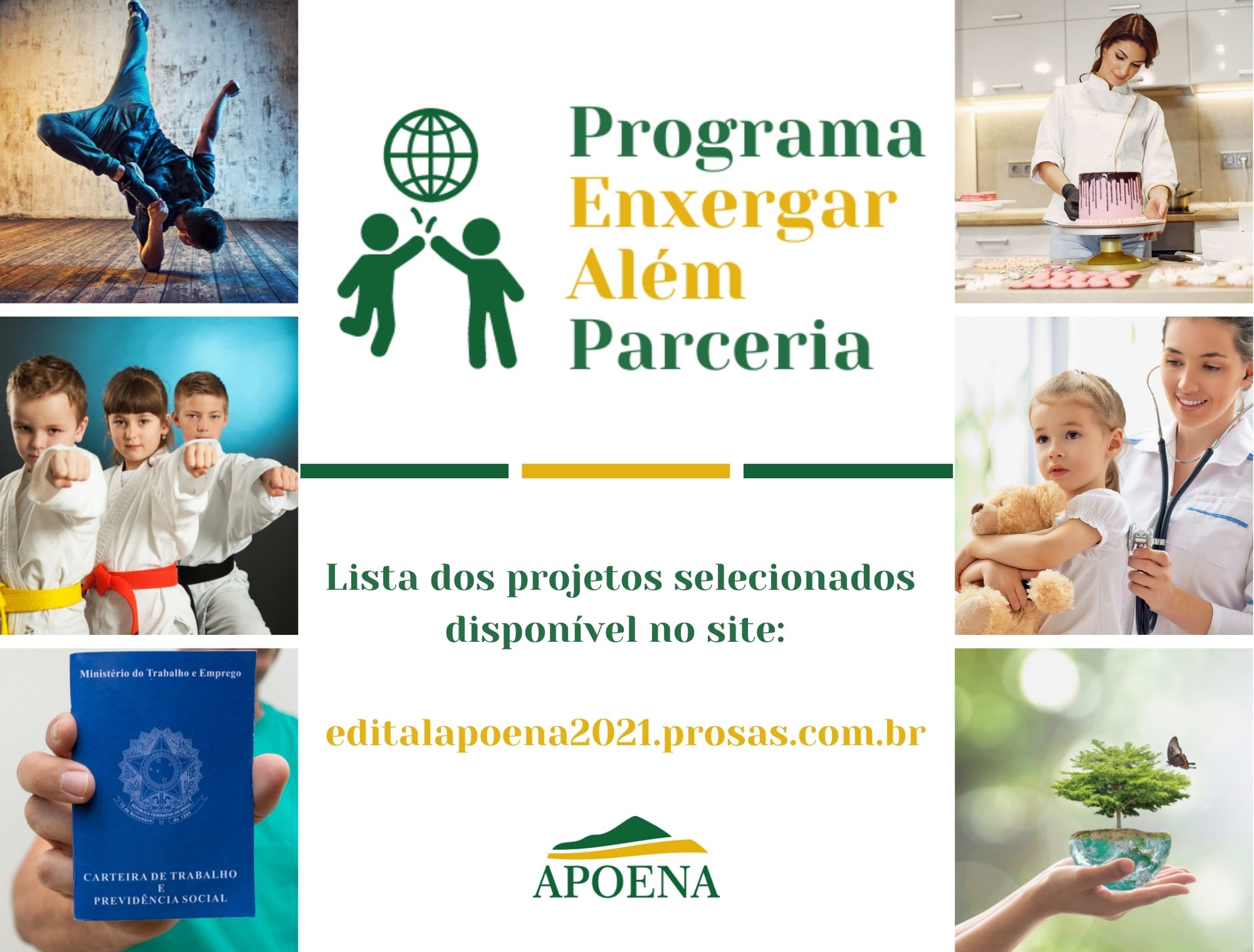 Sete projetos receberão o apoio da Apoena