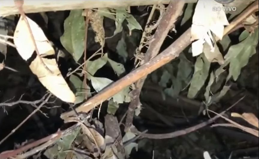 Exclusivo: Suposto esconderijo de Lázaro é encontrado; assista