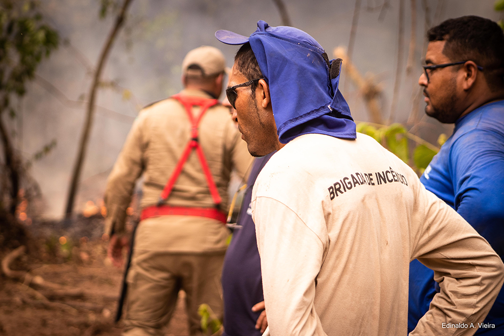 Corpo de Bombeiros abre processo seletivo com 100 vagas para brigadistas