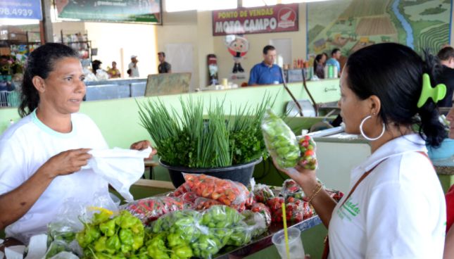 PL prevê incentivo fiscal para empresas e produtores que usarem matéria-prima da agricultura de MT