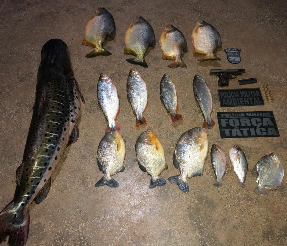 Duas pessoas são detidas com arma e pescado ilegal em MT