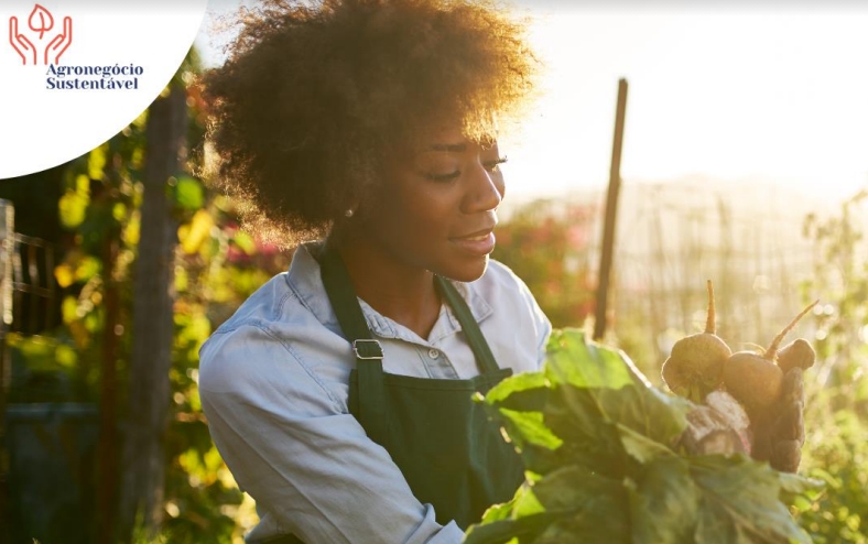 Aura Apoena dá início ao Programa Agronegócio Sustentável