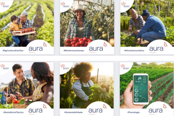 Aura Apoena movimenta a economia local com mais de R$ 200 milhões de reais por ano provenientes dos salários, impostos, compras e contratos