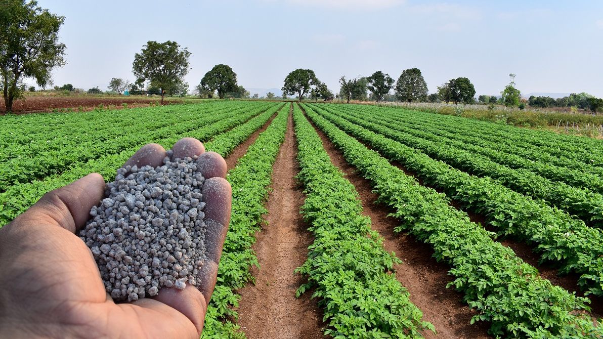 MT tem a Rússia como principal fornecedor de fertilizantes e pode ter impactos com a guerra￼