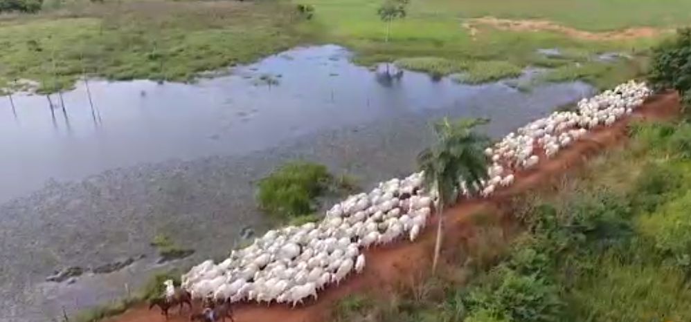 Nova fronteira agrícola de MT, Pontes e Lacerda sediará feira vitrine da lavoura-pecuária