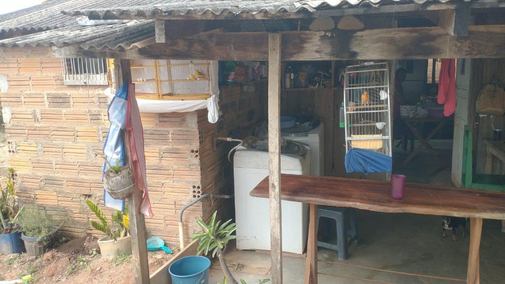 Polícia Civil apreende pássaros silvestres criados em cativeiro em Nova Lacerda