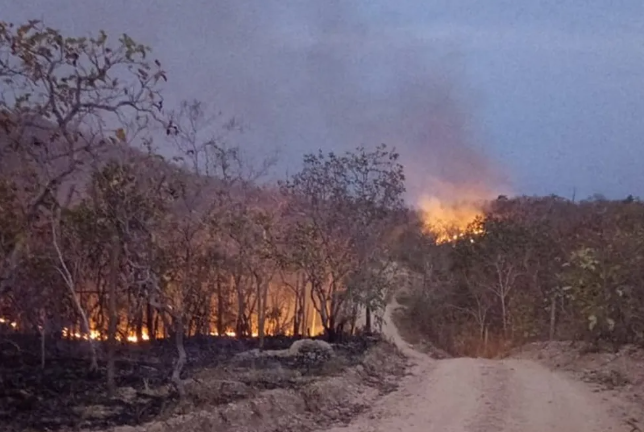 Suspeito é preso por manter 4 pessoas em cativeiro e incendiar floresta após não receber carona em Cuiabá