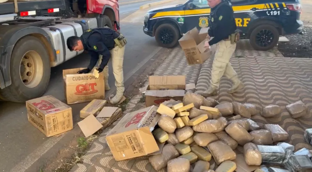 Polícia apreende mais de 360 kg de drogas em caminhão carregado com pluma de algodão