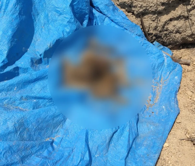 Polícia encontra ossada humana enterrada próxima a garimpo