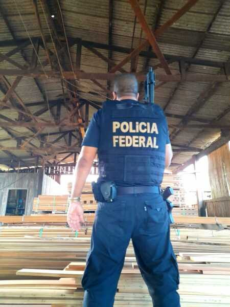 PF flagra esquema em área indígena e desmonta organização que movimentou R$ 1, 2 milhão