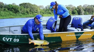 Mato Grosso do Sul deve proibir a pesca de 13 espécies, conforme projeto de lei?