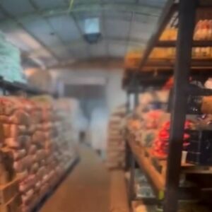 Ação do Gaeco interdita local com merenda escolar estragada e vencida em MS