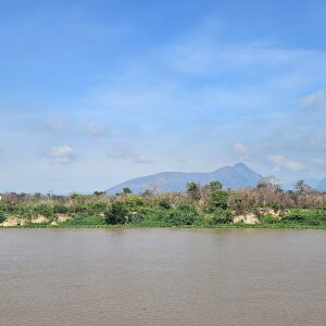 Estoque de crédito de carbono no Pantanal pode valer R$ 25,2 bilhões