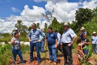 MS inclui agricultura familiar no mercado de crédito de carbono