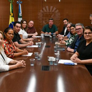 Riedel discute medidas mais eficazes no combate à violência contra mulher