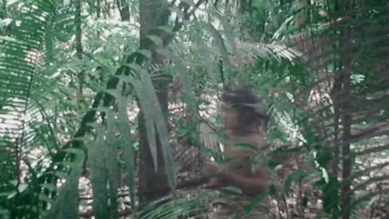 Imagens inéditas de indígenas isolados em uma das regiões mais remotas da Amazônia