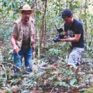 Conheça a relação de moradores de Campo Grande com as árvores