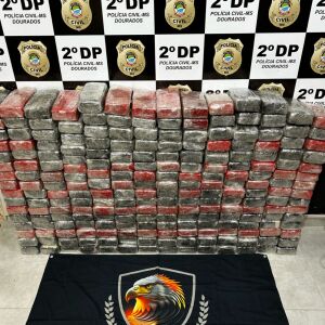 Polícia apreende R$ 15 milhões em cocaína em carga de produto de limpeza