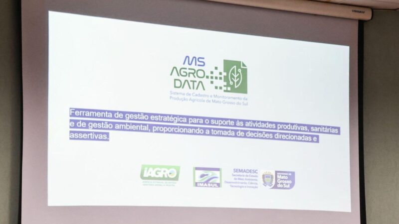 Governo publica decreto que regulamenta a exploração e reposição florestal em MS