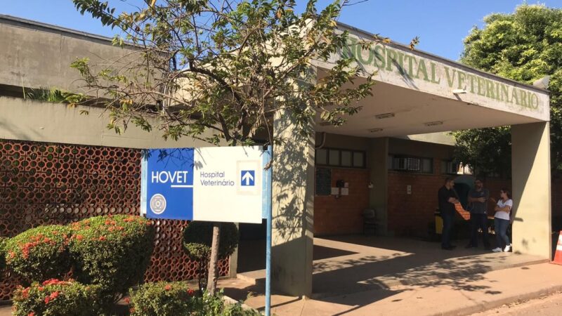 Funcionários do Hospital Veterinário da UFMT paralisam atividades por falta de pagamento