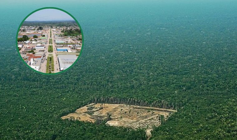 MP ajuíza mais de 30 ações civis públicas ambientais em município de MT