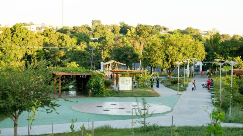 Parque da Família receberá ipês em memória das vítimas de feminicídio