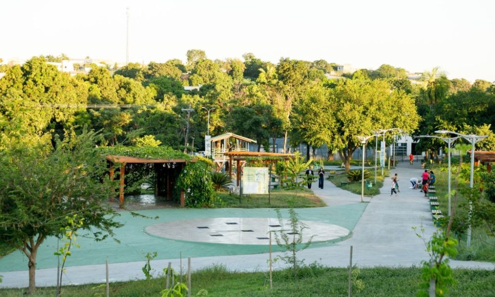 Parque da Família receberá ipês em memória das vítimas de feminicídio