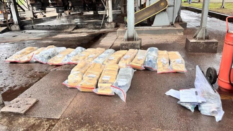 Polícia Civil incinera quase meia tonelada de drogas apreendidas em Alto Araguaia e Alto Garças
