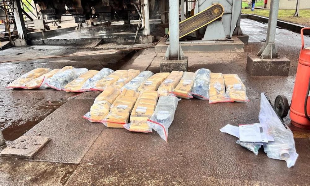 Polícia Civil incinera quase meia tonelada de drogas apreendidas em Alto Araguaia e Alto Garças