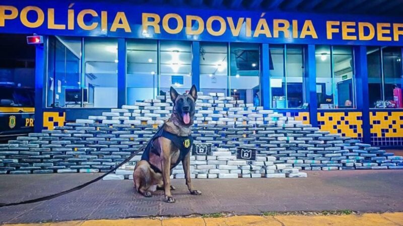 PRF apreende aproximadamente 400 kg de cocaína em Rondonópolis-MT