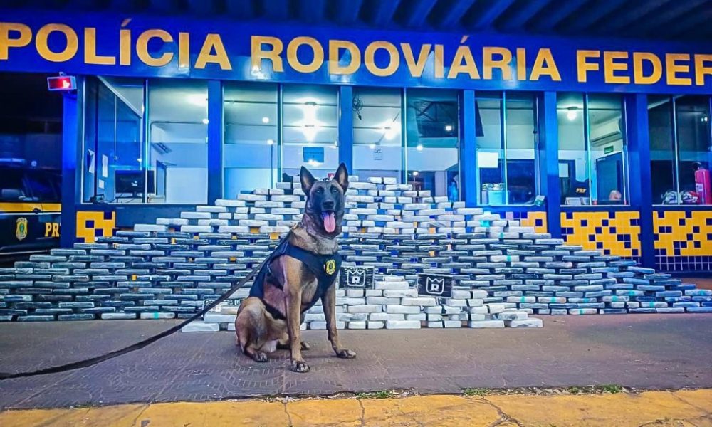 PRF apreende aproximadamente 400 kg de cocaína em Rondonópolis-MT