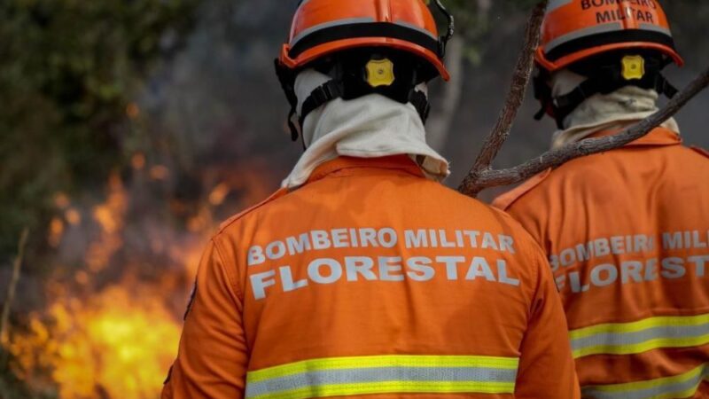 Mato Grosso sedia Congresso Internacional de Gestão de Incêndios Florestais