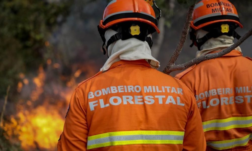 Mato Grosso sedia Congresso Internacional de Gestão de Incêndios Florestais