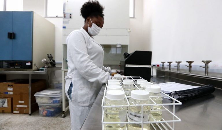 Câmara entrega no dia 10 de junho premiação que valoriza o trabalho das mulheres cientistas