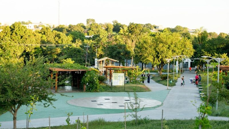 Parque receberá mudas de ipês em homenagem às vítimas de feminicídio após árvores serem arrancadas de área em Cuiabá