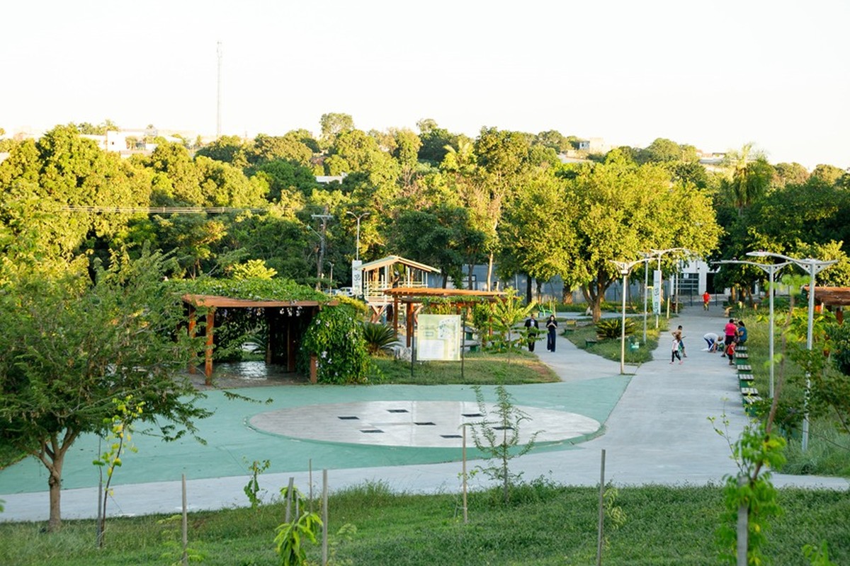 Parque receberá mudas de ipês em homenagem às vítimas de feminicídio após árvores serem arrancadas de área em Cuiabá