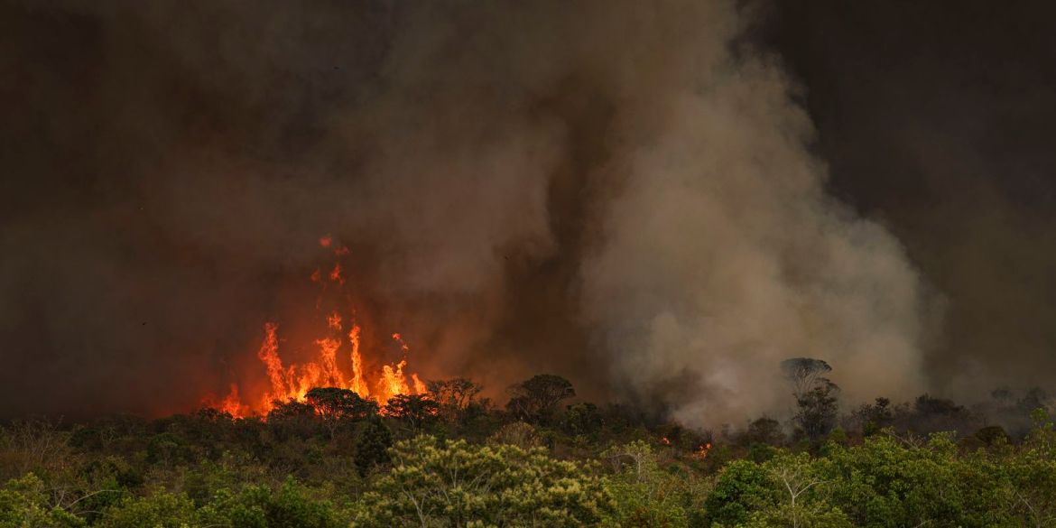 Desmatamento na Amazônia sobe 91% em maio de 2025