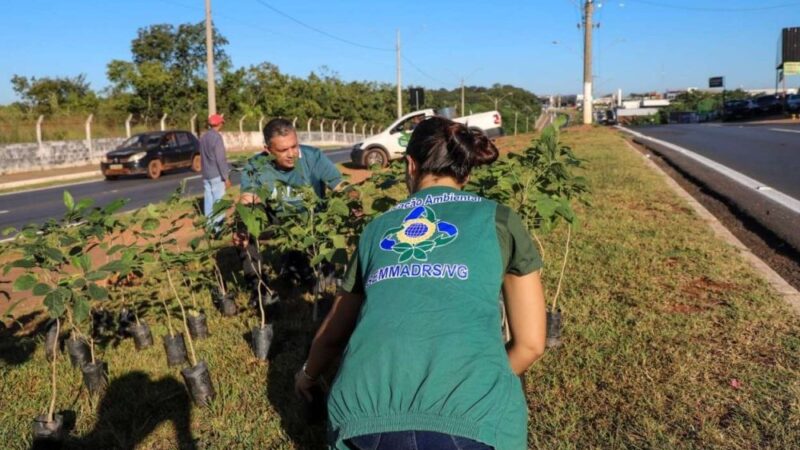 Pauta ambiental deixa de ser apenas um ato comemorativo em Várzea Grande