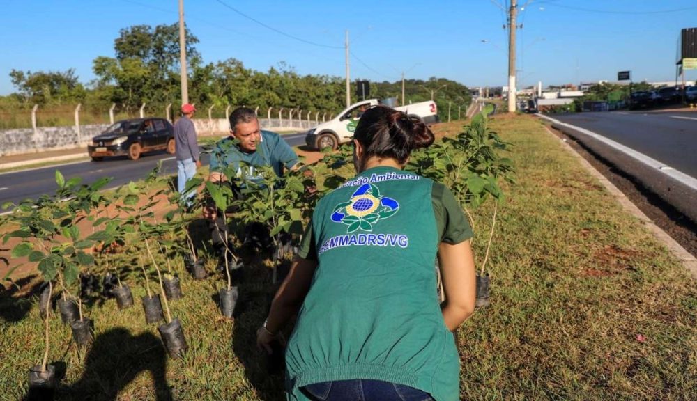 Pauta ambiental deixa de ser apenas um ato comemorativo em Várzea Grande