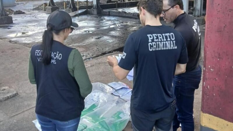 Polícia Civil incinera 50 quilos de cocaína em Alto Araguaia