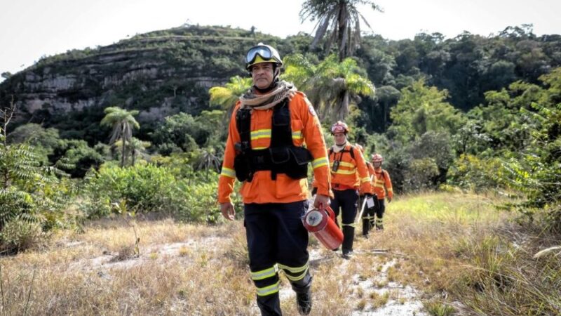 Últimos dias para inscrições no Congresso Internacional de Gestão de Incêndios Florestais