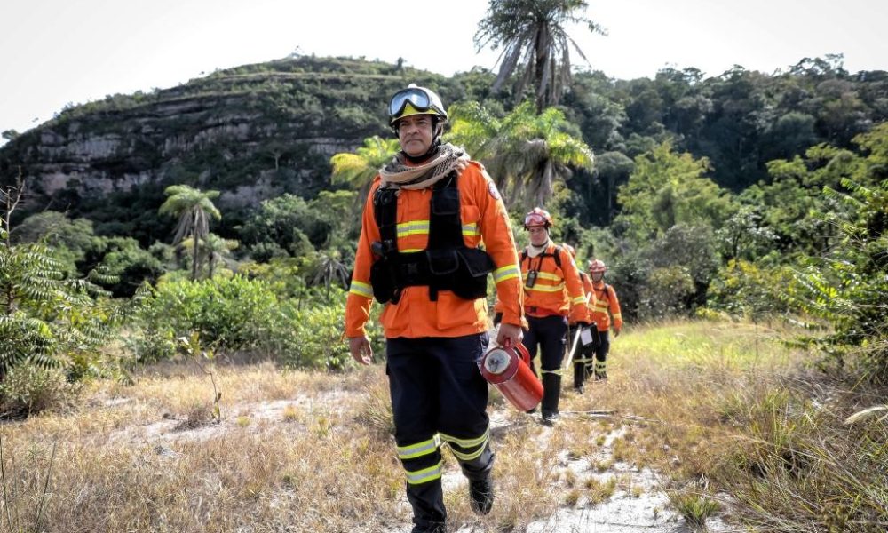 Últimos dias para inscrições no Congresso Internacional de Gestão de Incêndios Florestais