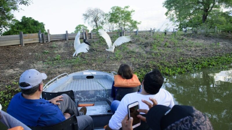 Dia do Turista: ecoturismo transforma viajantes em aliados da conservação em Mato Grosso