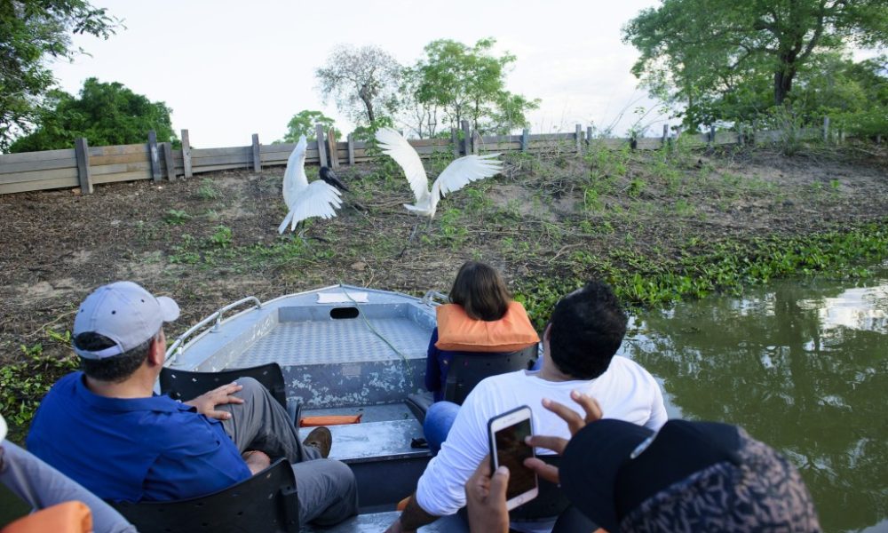 Dia do Turista: ecoturismo transforma viajantes em aliados da conservação em Mato Grosso